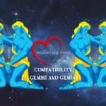 Gemini and Gemini compatibility